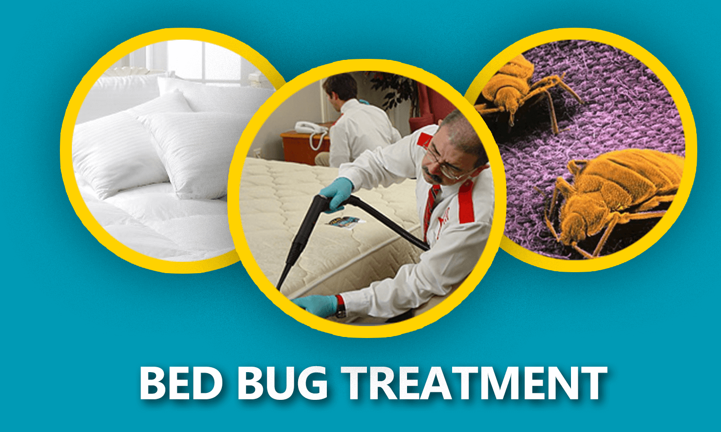 Bed Bug Treatment
